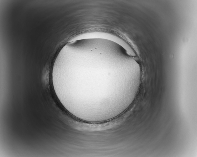 X0000087640010200705311335