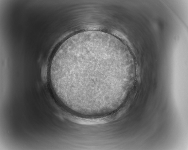 X0000087640012200705311335