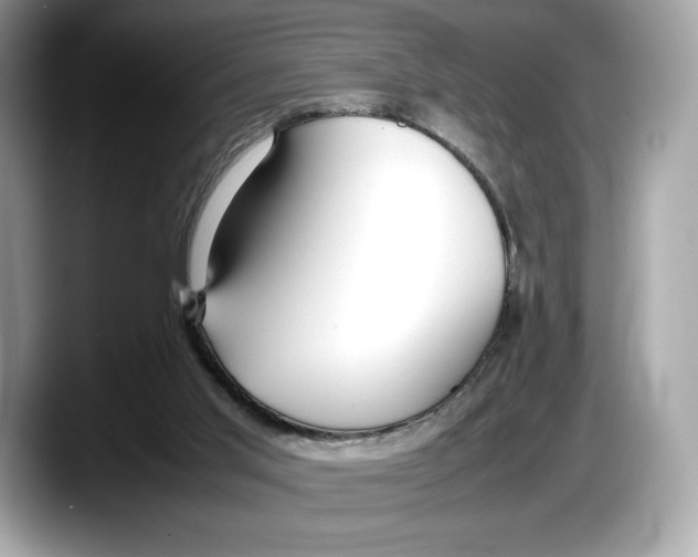 X0000087640013200705311335