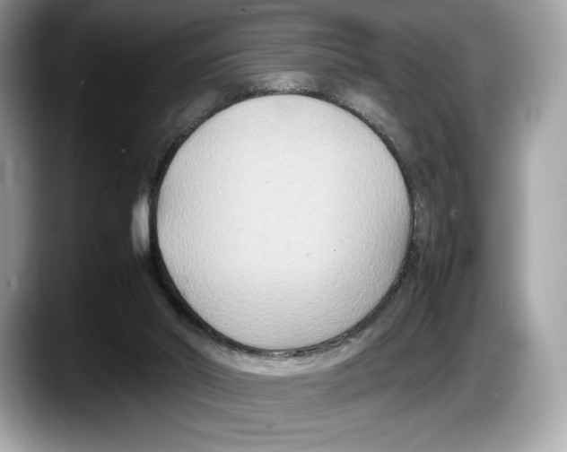 X0000087640014200705311335