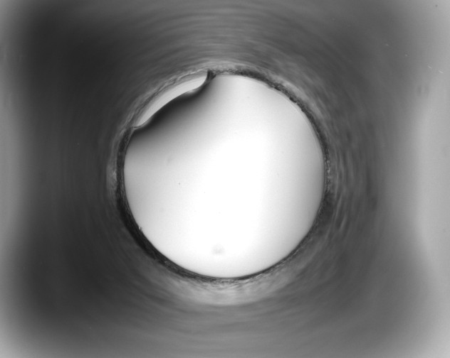 X0000087640015200705311335