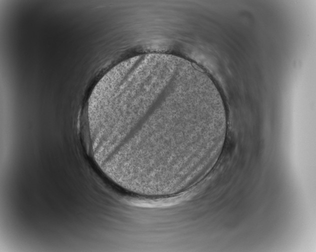 X0000087640017200705311335