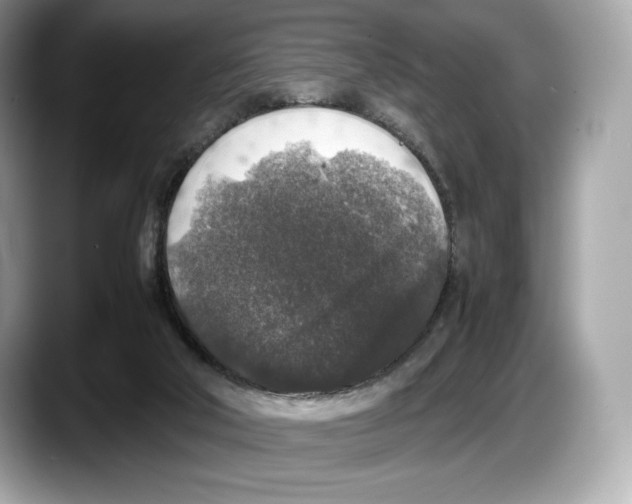 X0000087640018200705311335