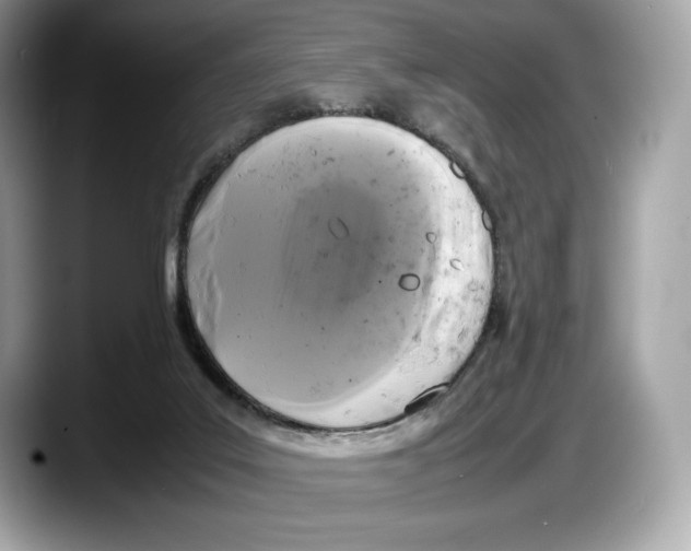 X0000087640019200705311335