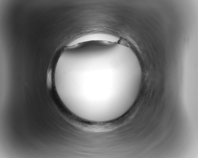 X0000087640020200705311335