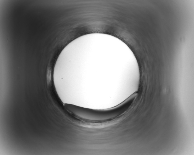 X0000087640021200705311335