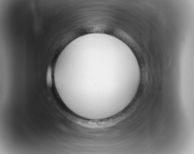 X0000087640022200705311335