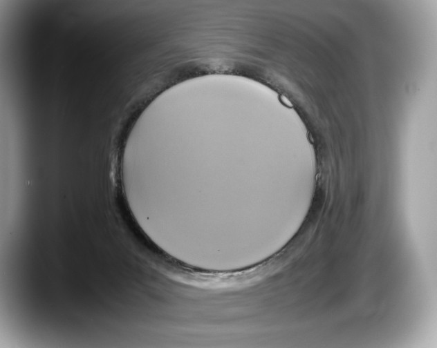 X0000087640023200705311335