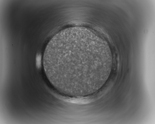 X0000087640024200705311335