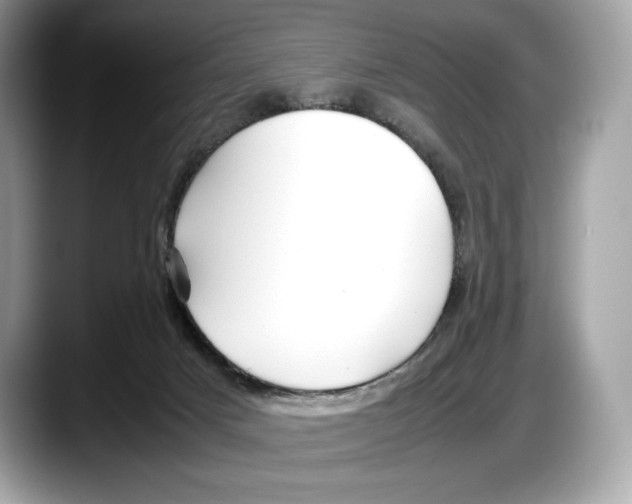 X0000087640025200705311335