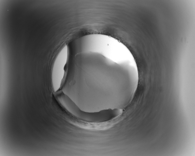 X0000087640027200705311335