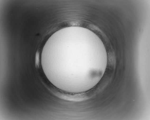 X0000087640028200705311335