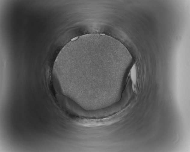 X0000087640029200705311335