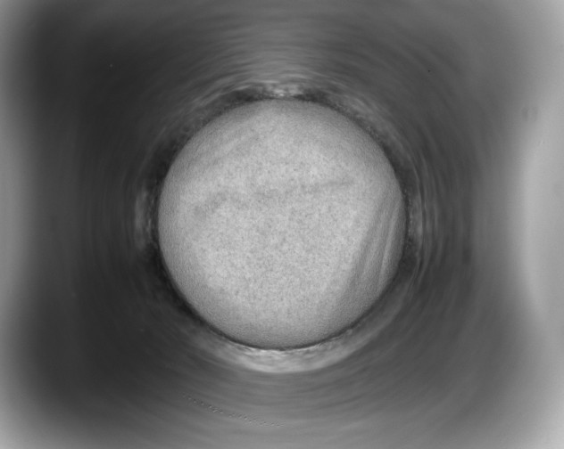 X0000087640030200705311335