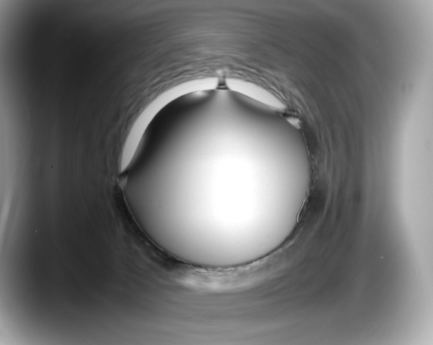 X0000087640033200705311335