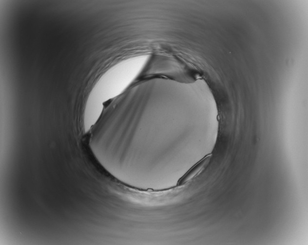 X0000087640035200705311335