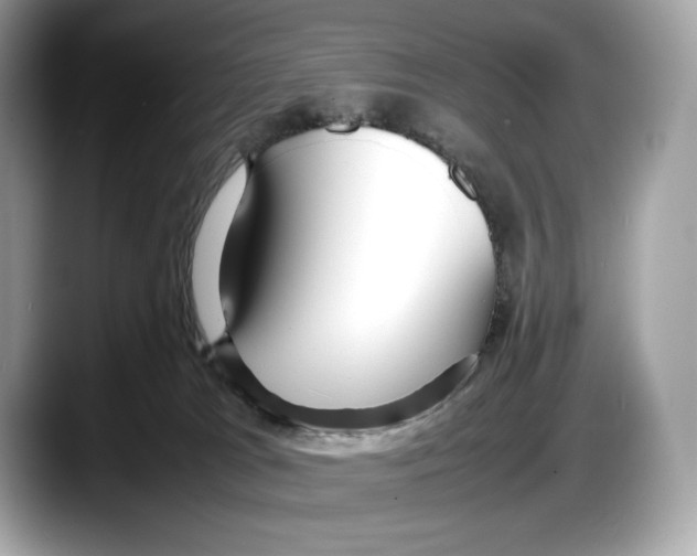 X0000087640037200705311334