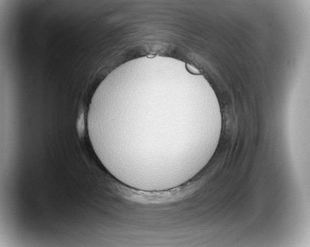 X0000087640042200705311334