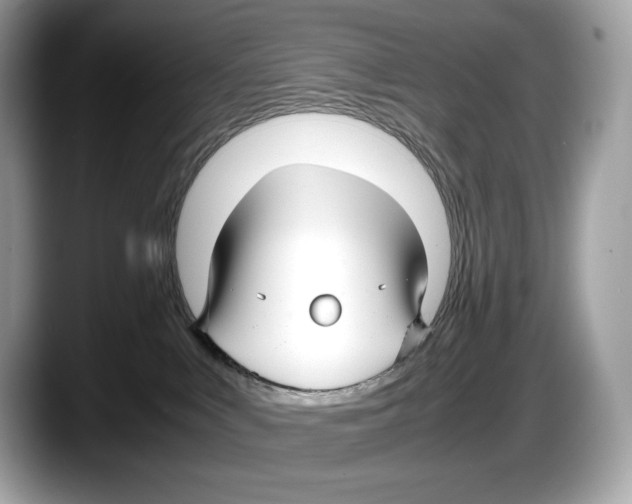 X0000087640043200705311334