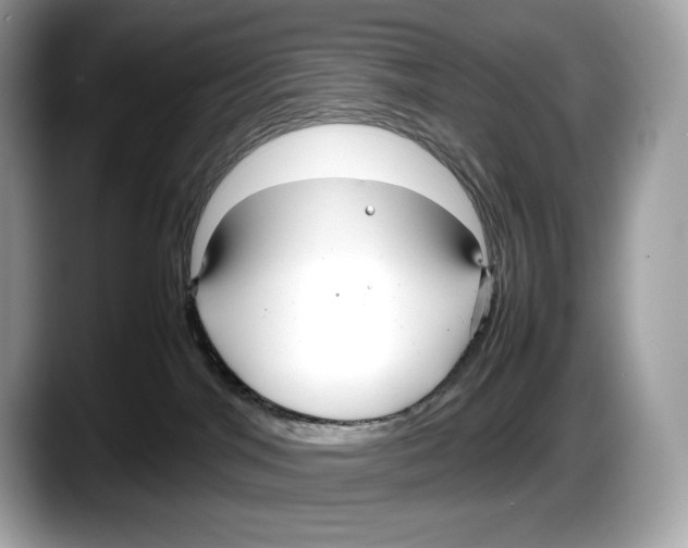 X0000087640044200705311334