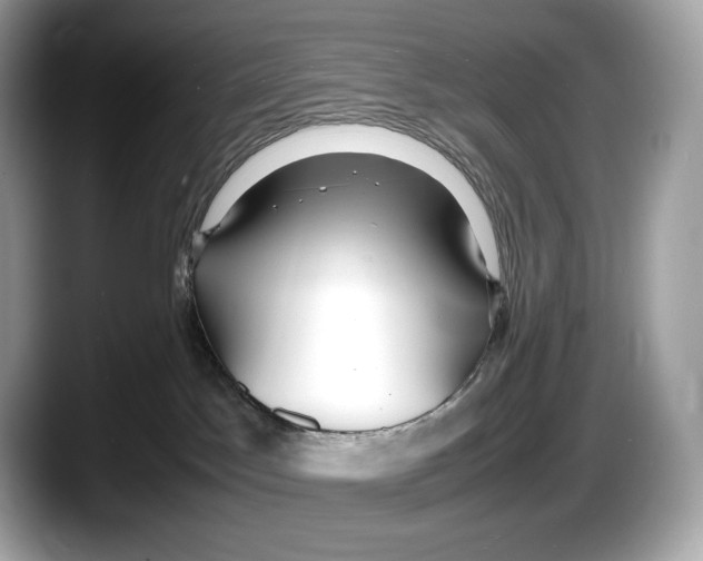 X0000087640045200705311334