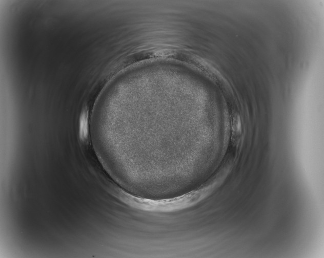 X0000087640046200705311334