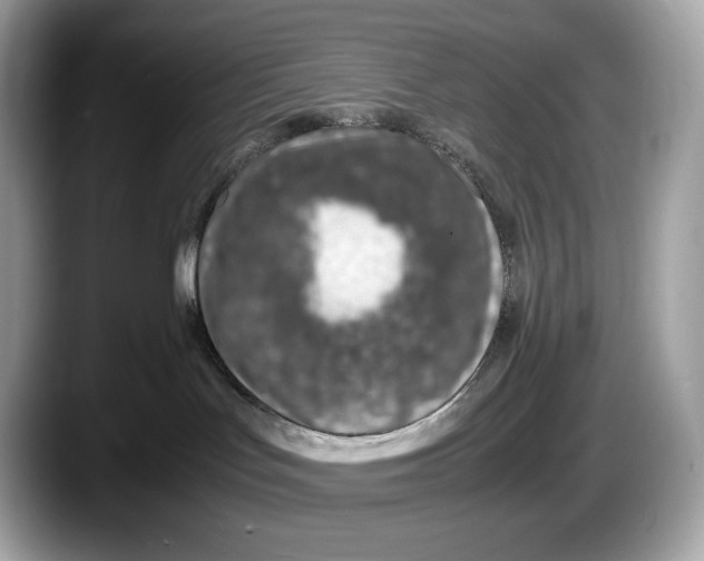 X0000087640047200705311334