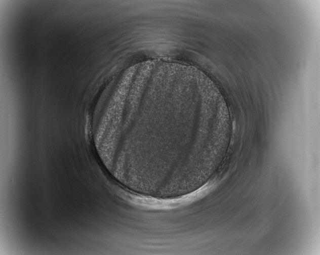 X0000087640048200705311334