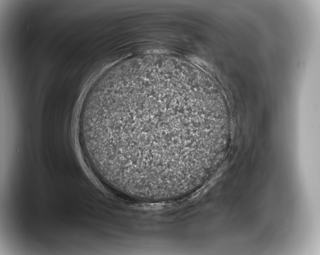 X0000087640049200705311334