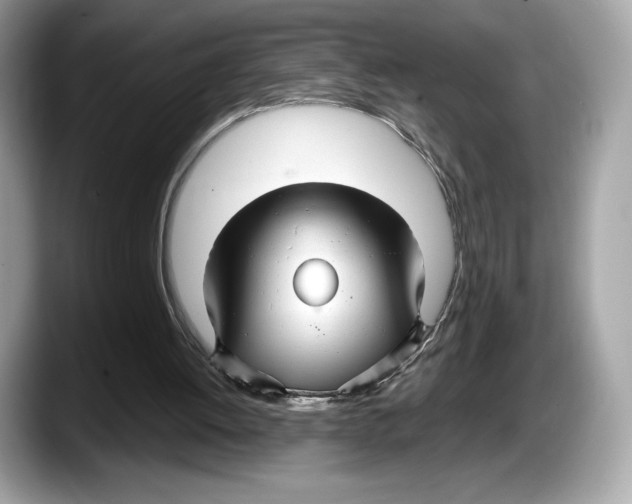 X0000087640052200705311334