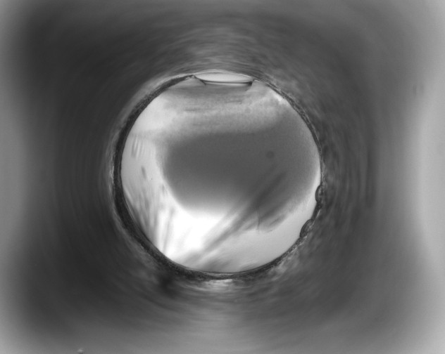 X0000087640054200705311334