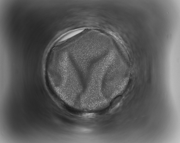 X0000087640055200705311334