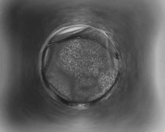 X0000087640056200705311334