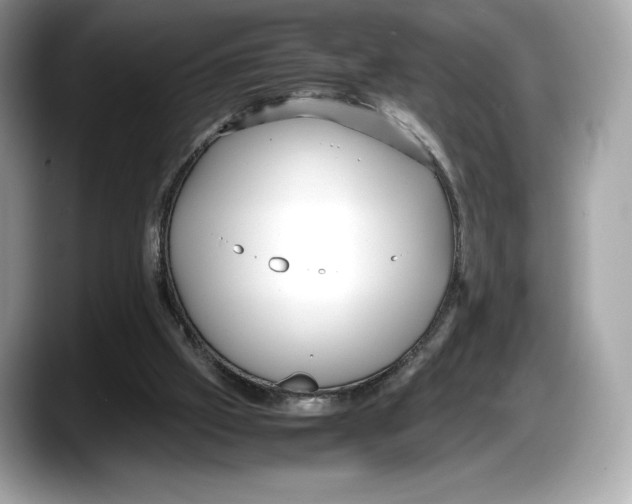 X0000087640057200705311334