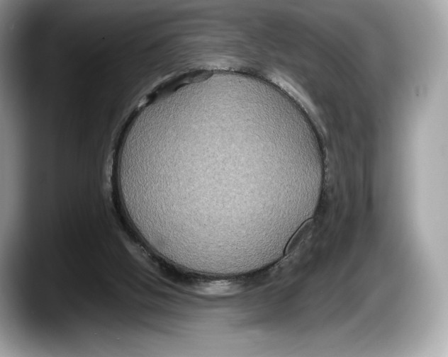 X0000087640058200705311334