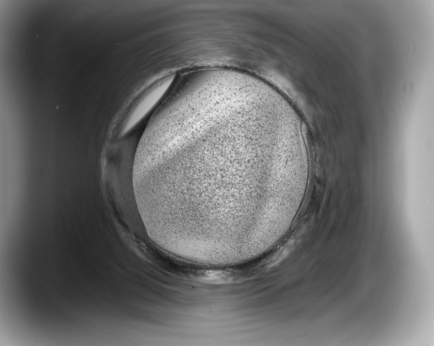 X0000087640060200705311334