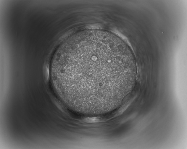 X0000087640061200705311334