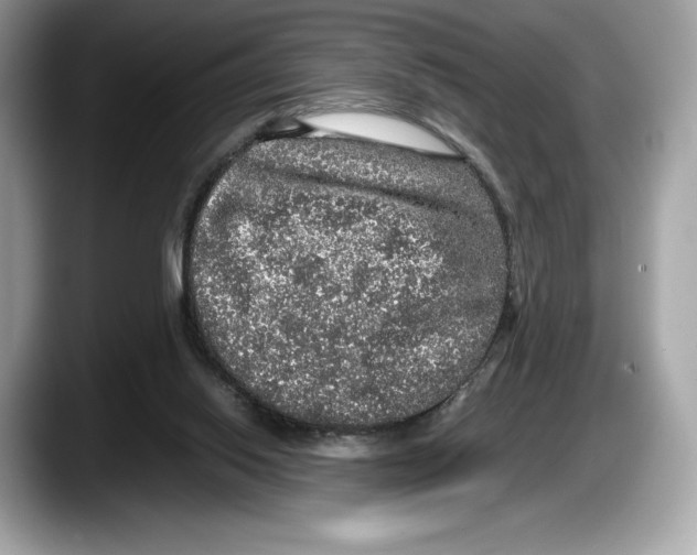 X0000087640062200705311334