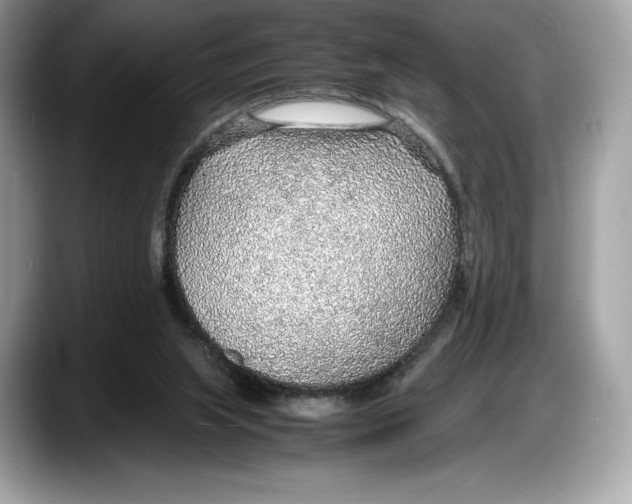 X0000087640063200705311334