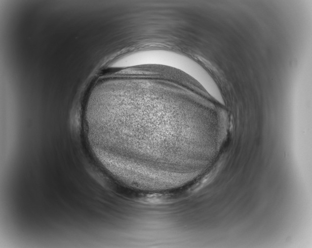 X0000087640064200705311334