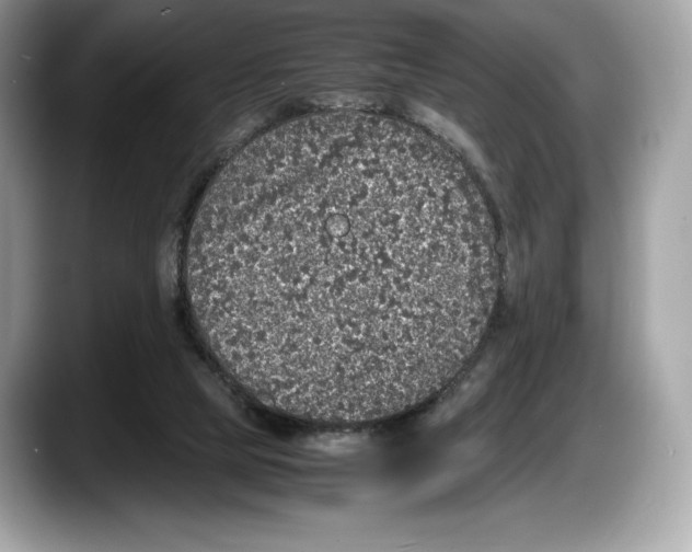 X0000087640065200705311334