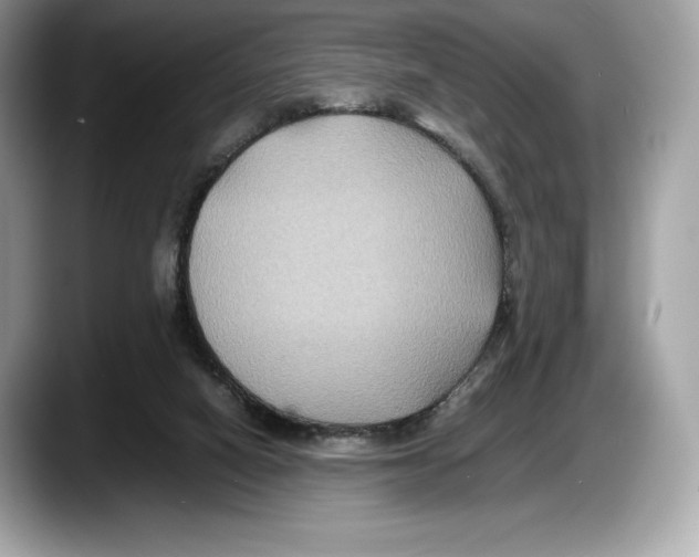 X0000087640066200705311334