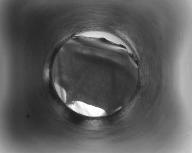 X0000087640067200705311334