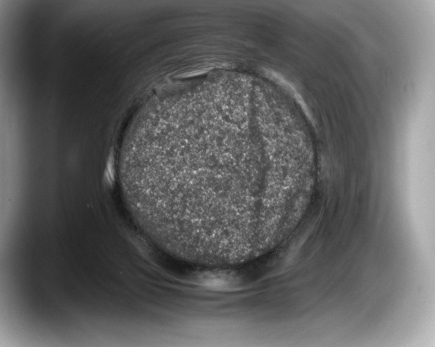 X0000087640069200705311334