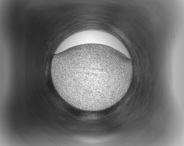 X0000087640073200705311334