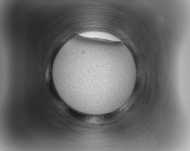 X0000087640074200705311334