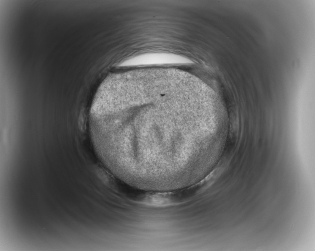 X0000087640078200705311334