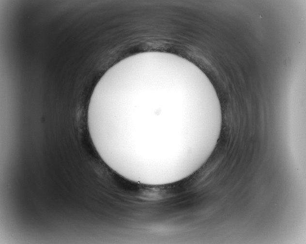 X0000087640079200705311334