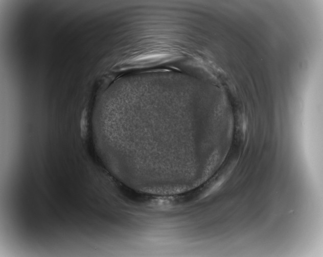 X0000087640080200705311334