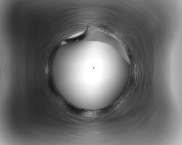 X0000087640084200705311334